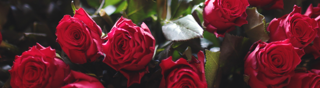 Shop For Roses__roses-flower-delivery