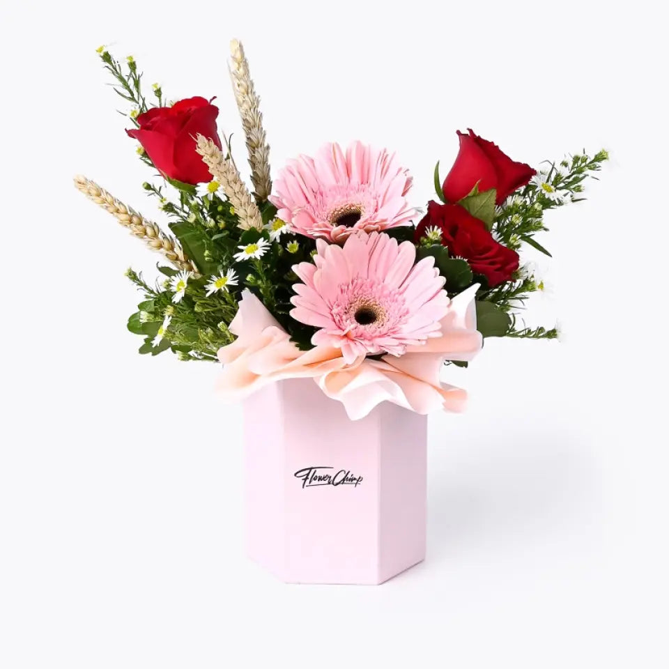 Customizer Birthday Bash Gift Bundle