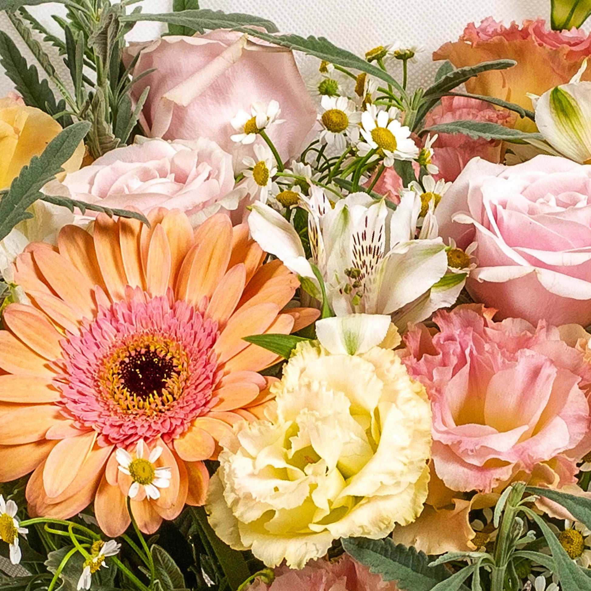 flowers_bouquet Cotton Candy