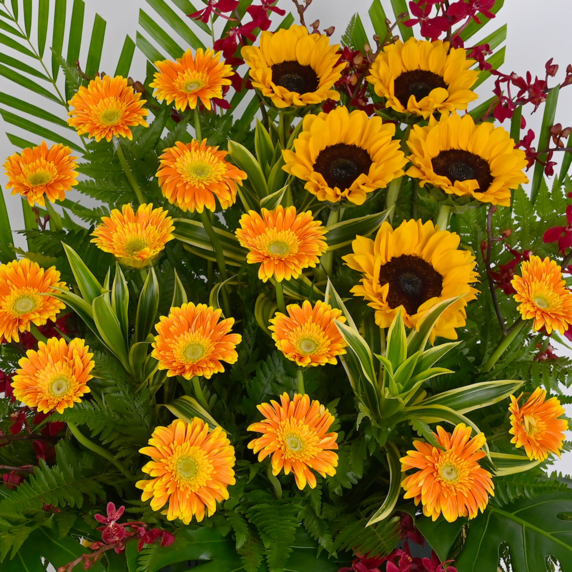 flower_stand_opening Infinite Fortune Opening Flower Stand