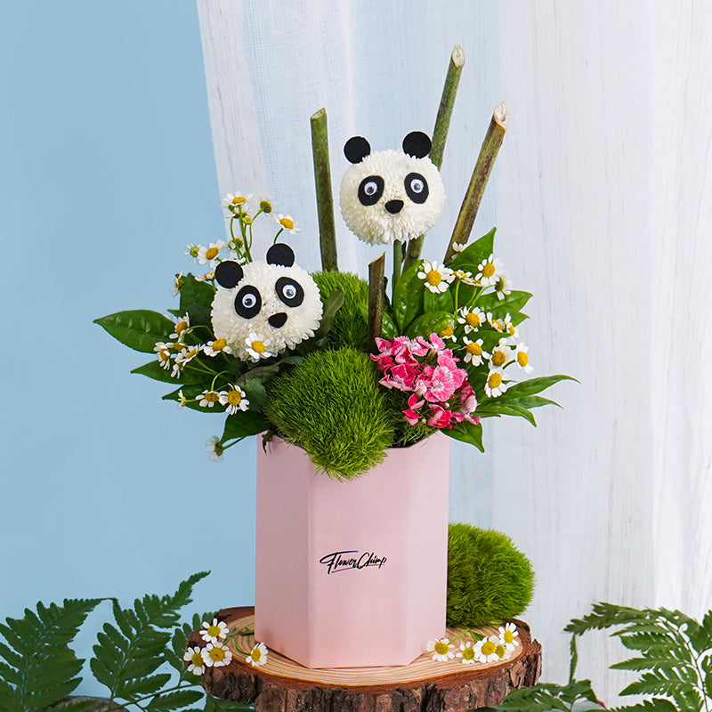 flowers_box_vbox Panda Posy