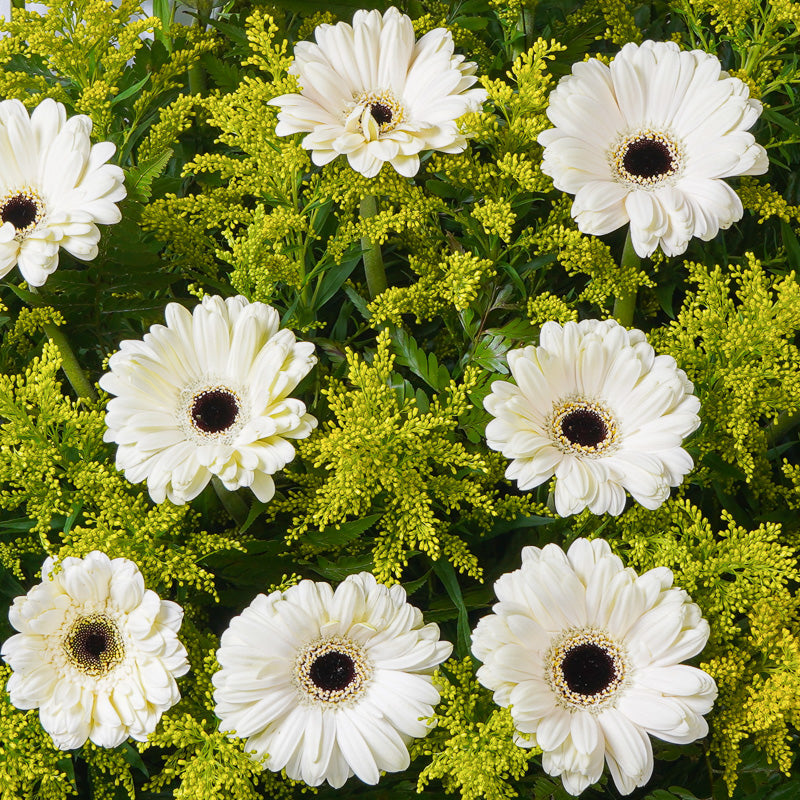 flowers_stand Eternal Condolence / Funeral Flowers