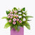 flowers_stand In My Prayers Condolence / Funeral Flowers