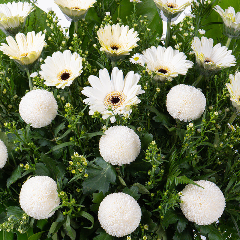 flowers_stand Peace of Mind Condolence / Funeral Flowers