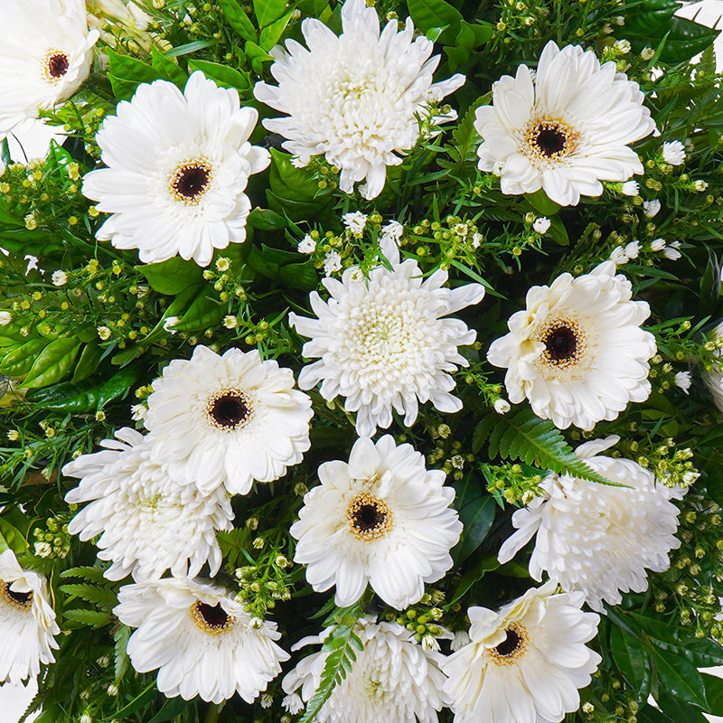 flowers_stand Peacefully Condolence / Funeral Flowers