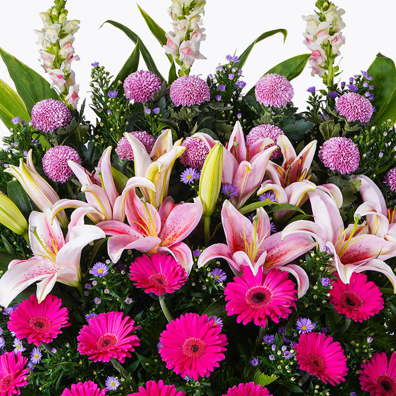 flowers_stand Royalty Opening Flower Stand