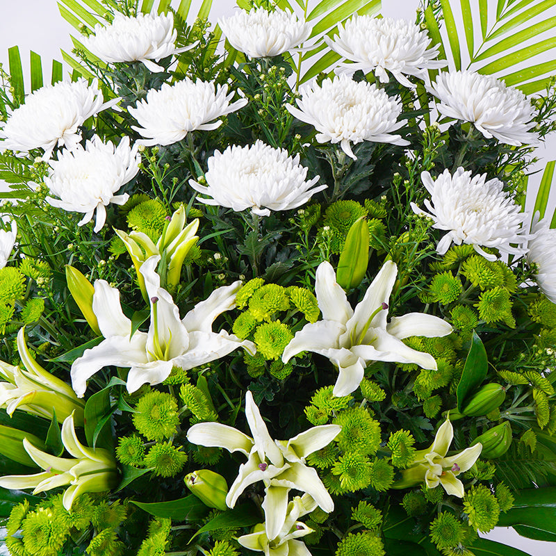 flowers_stand Solace Condolence / Funeral Flowers