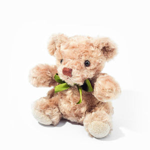 Teddy Bear (Medium)