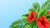 Flower Promotions To Celebrate Merdeka