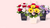 Bloom Into The Mood_flower-boxes-send-flower-boxes-to-malaysia