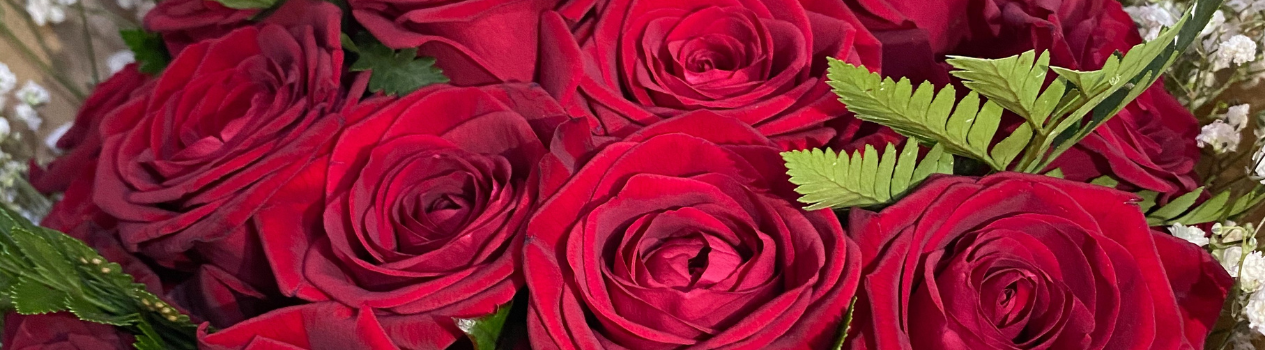 5 Types Of Roses And Their Meanings