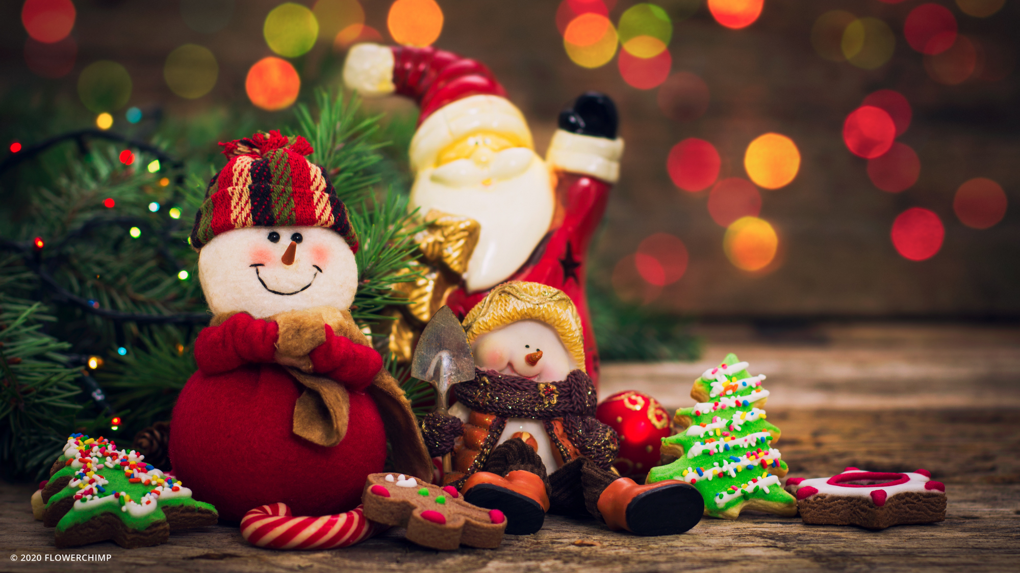 Top Picks: Christmas Flowers