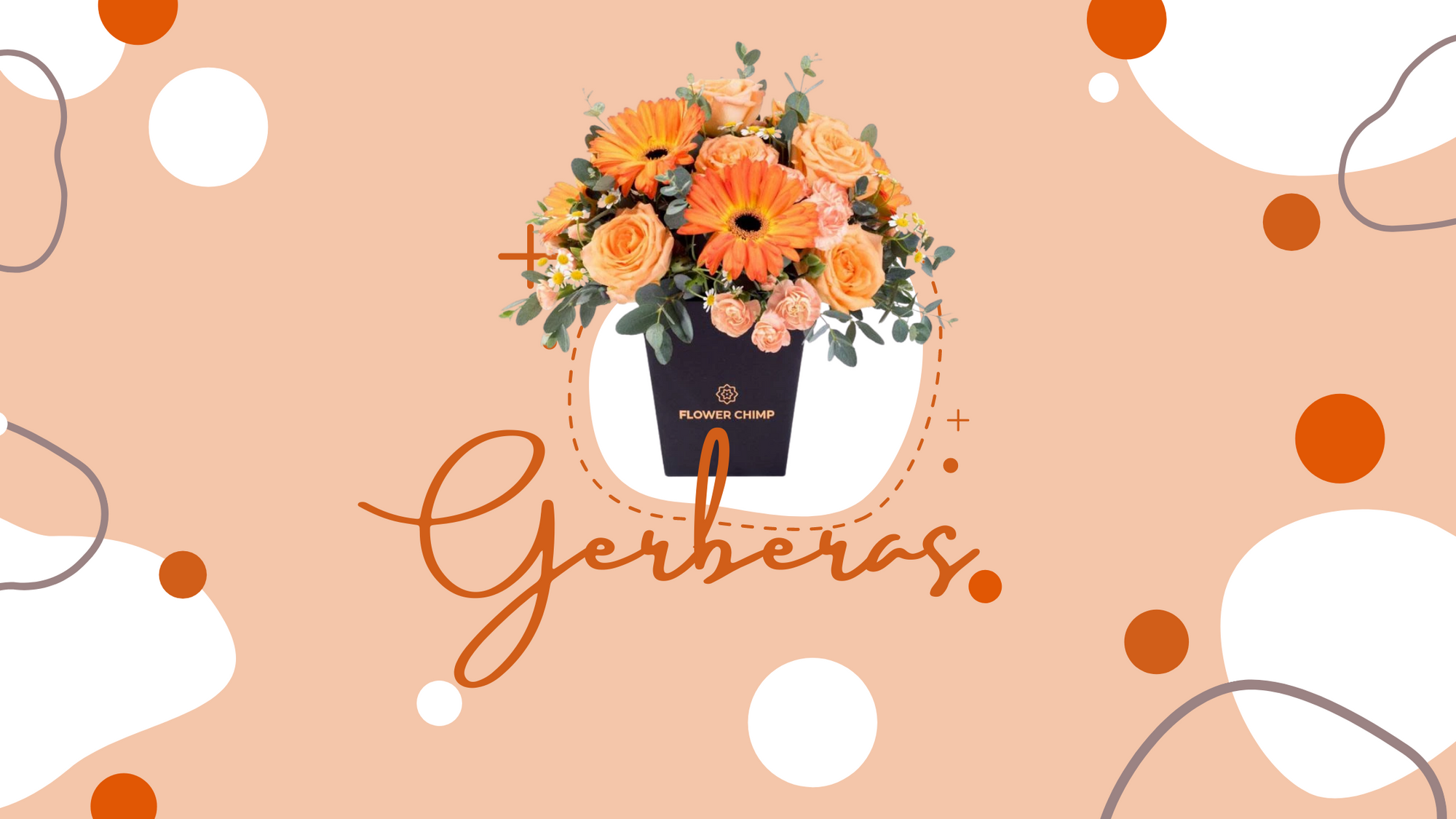 Gerbera Flower Bouquets_gerberas-flower-delivery
