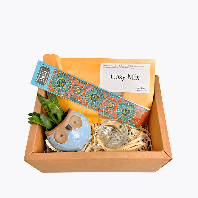 Owlsome Succulent Gift Box