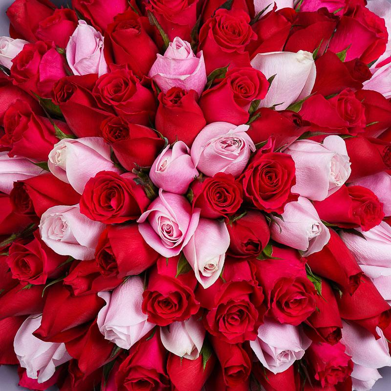 flowers_bouquet_giant 199 Roses - Expression of Love