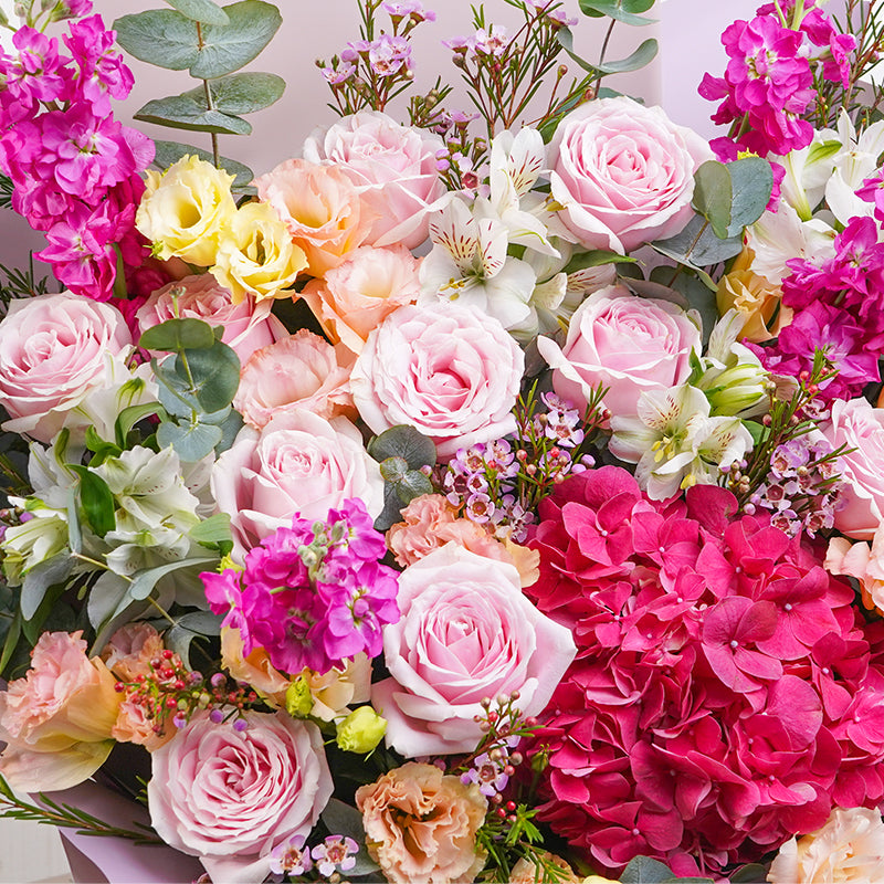 Beautiful Flowers To Grow In April