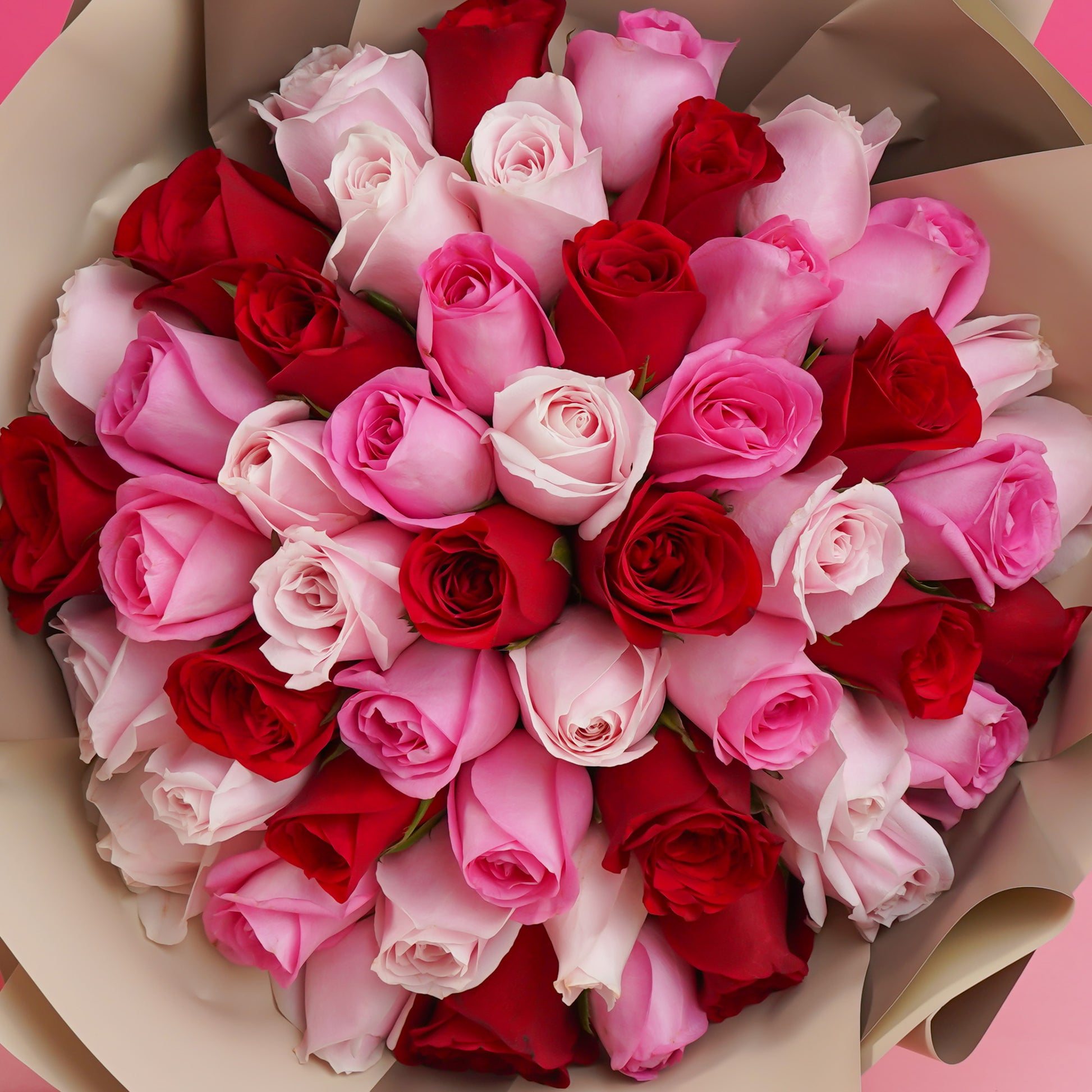 flowers_bouquet_giant 50 roses - Strawberry Kisses