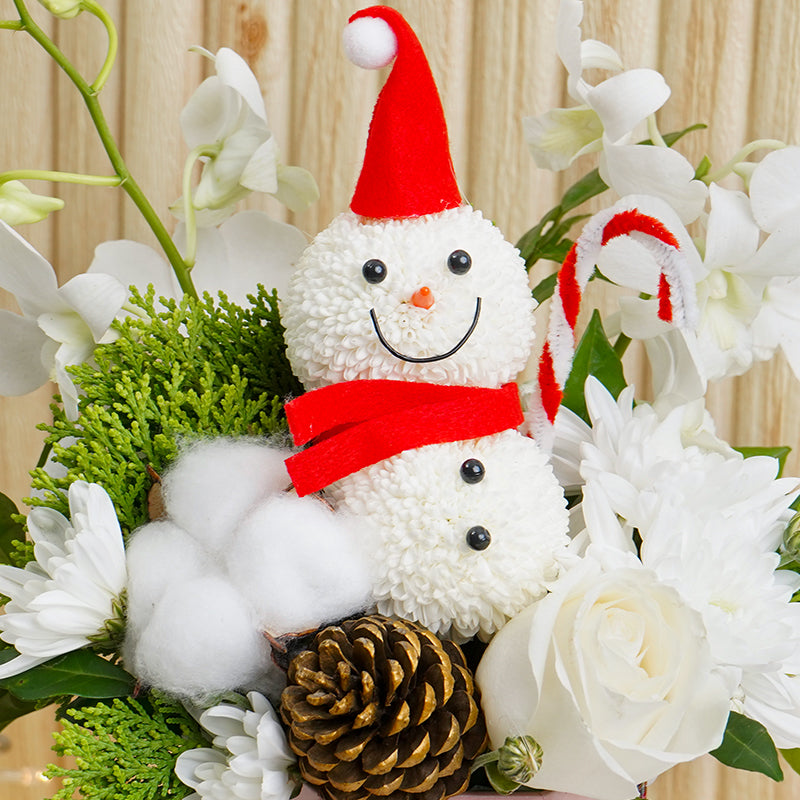 Frosty's Pine