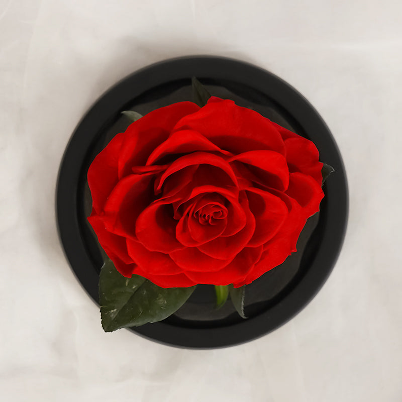 flowers_box A Single Kiss