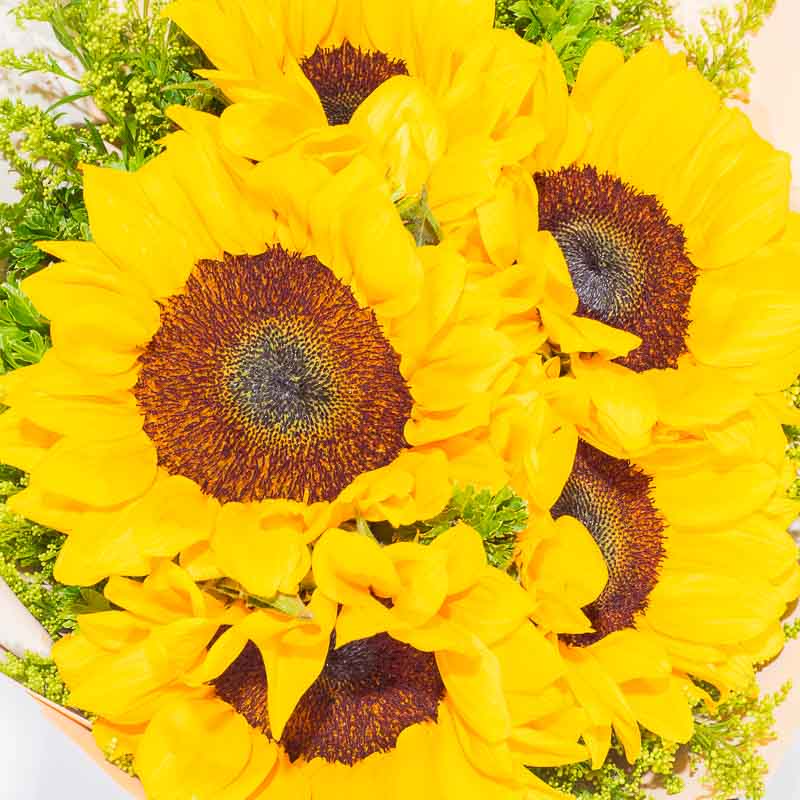 bundle_bouquet_ferrero_balloon Bloomy Days Birthday Bundle