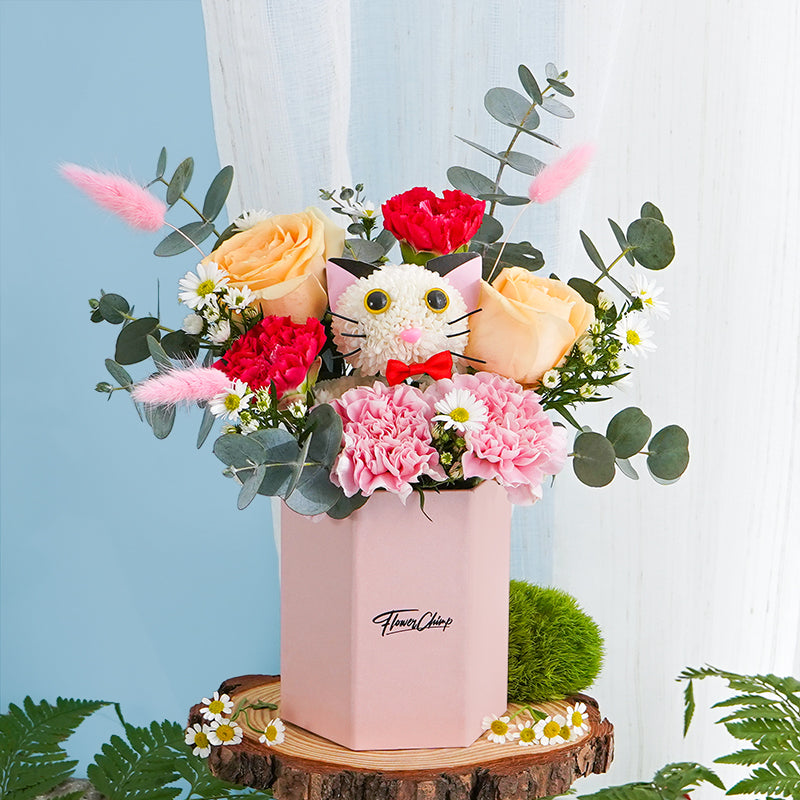 flowers_box_vbox Carnation Kitten