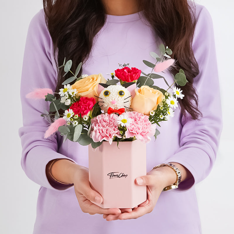 flowers_box_vbox Carnation Kitten