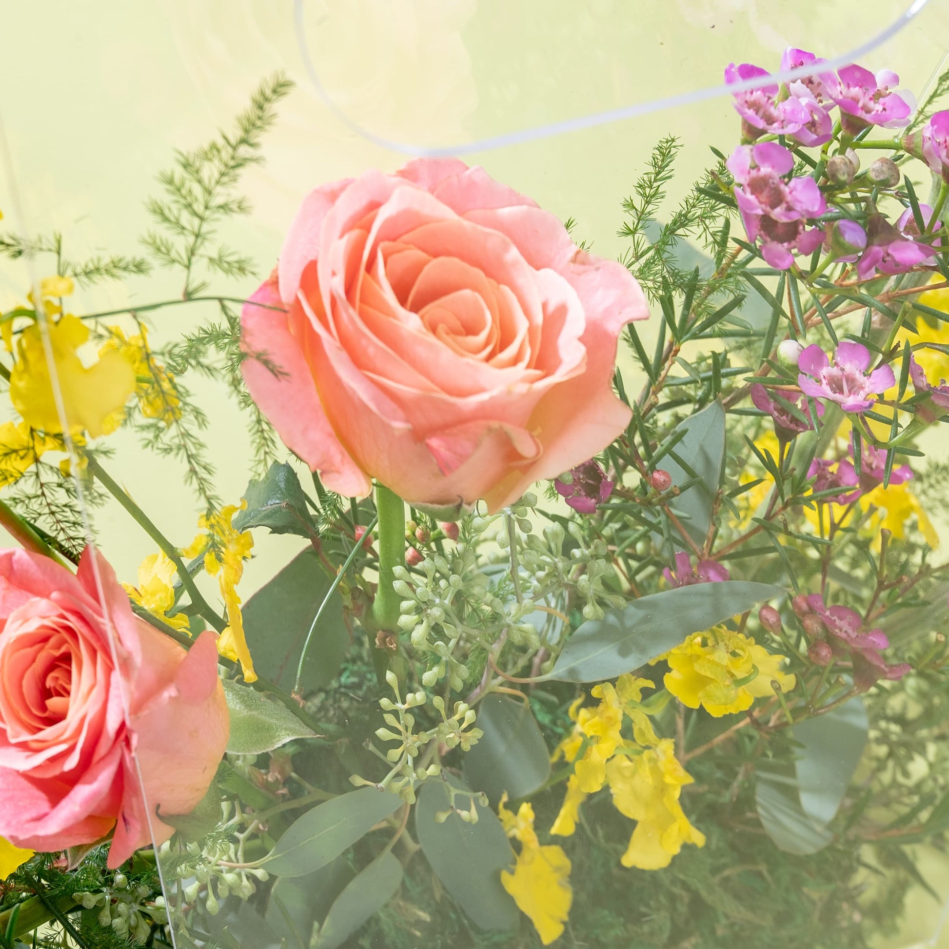 flower_handcarry Ethereal Designer Memento