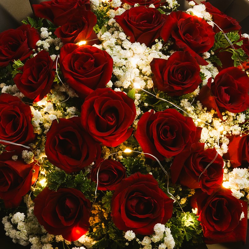 addon_light Fairy Lights