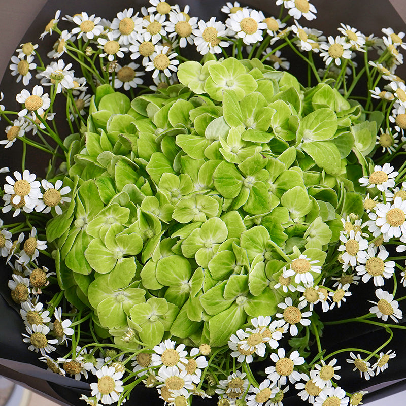 flowers_bouquet Fauna