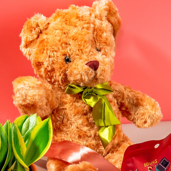 Warm Hugs Gift Set Same Day Delivery Klang Valley