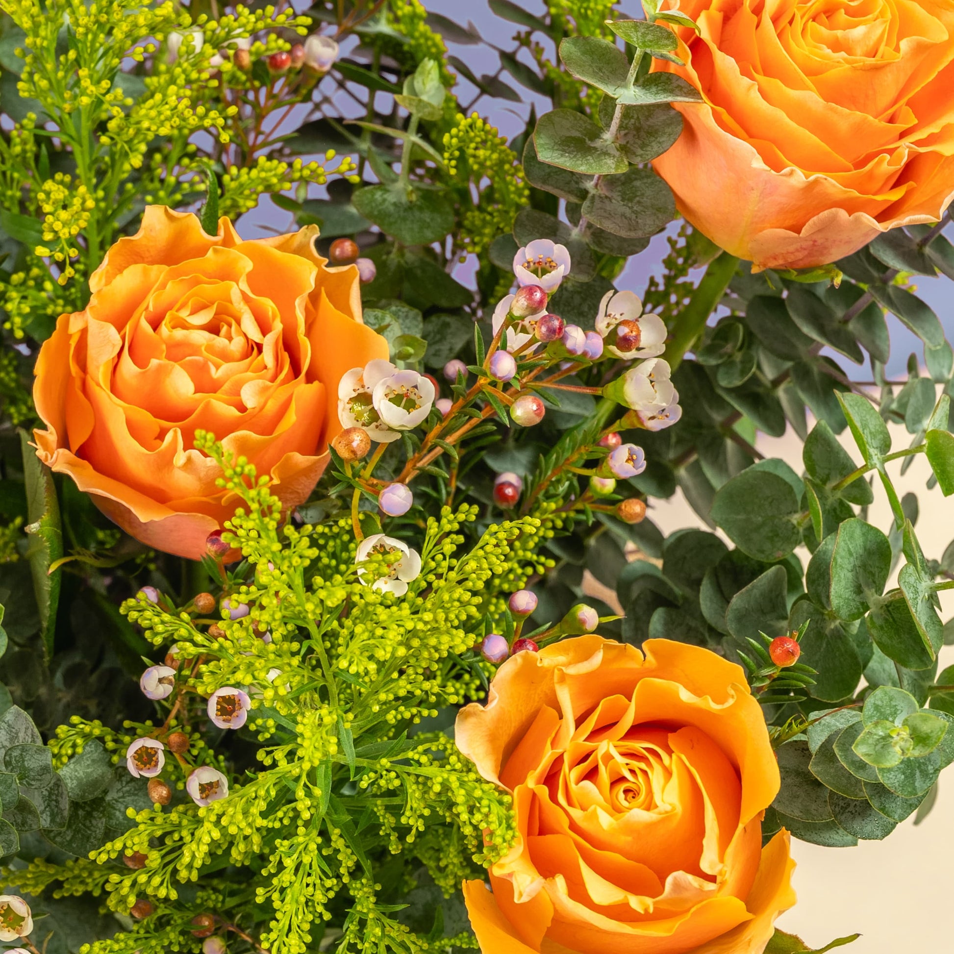 flowers_box_vbox Golden Honey Roses