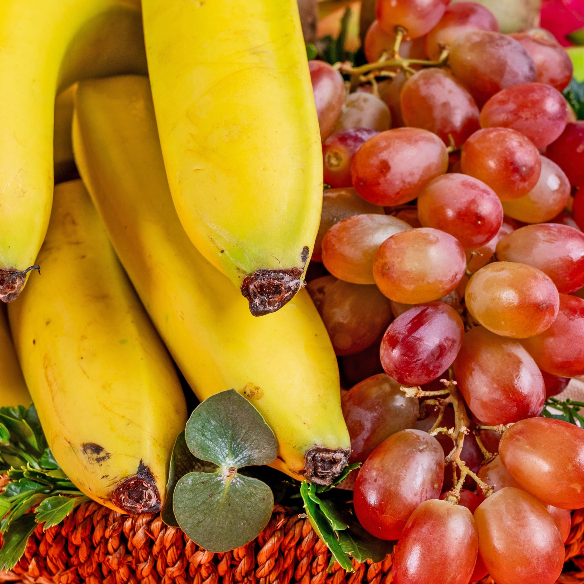 hamper_fruit Medium Fruit Basket