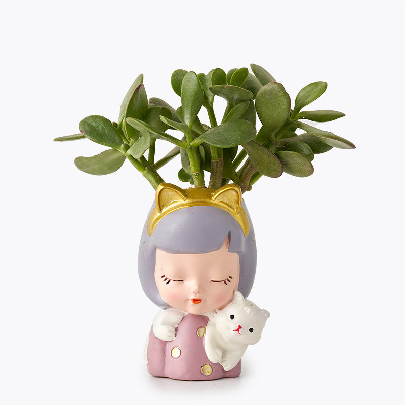 plants_potted Miss Succulent