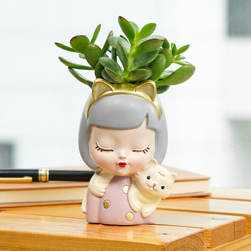 plants_potted Miss Succulent