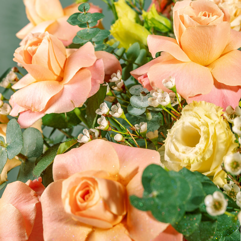 My Universe Champagne Pink Roses