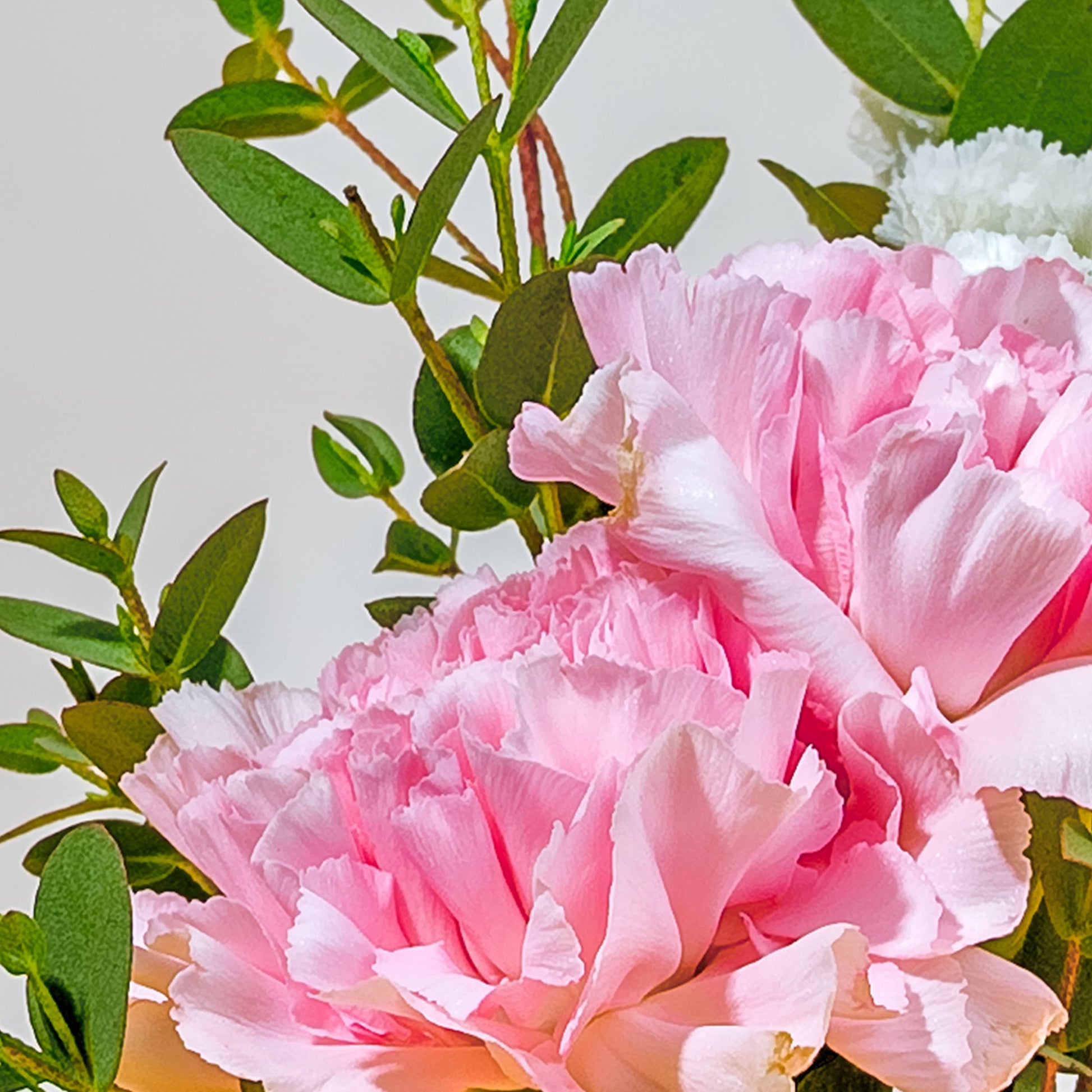 twilly_bag_set Petite Muse (Twilly Bag with Flowers)