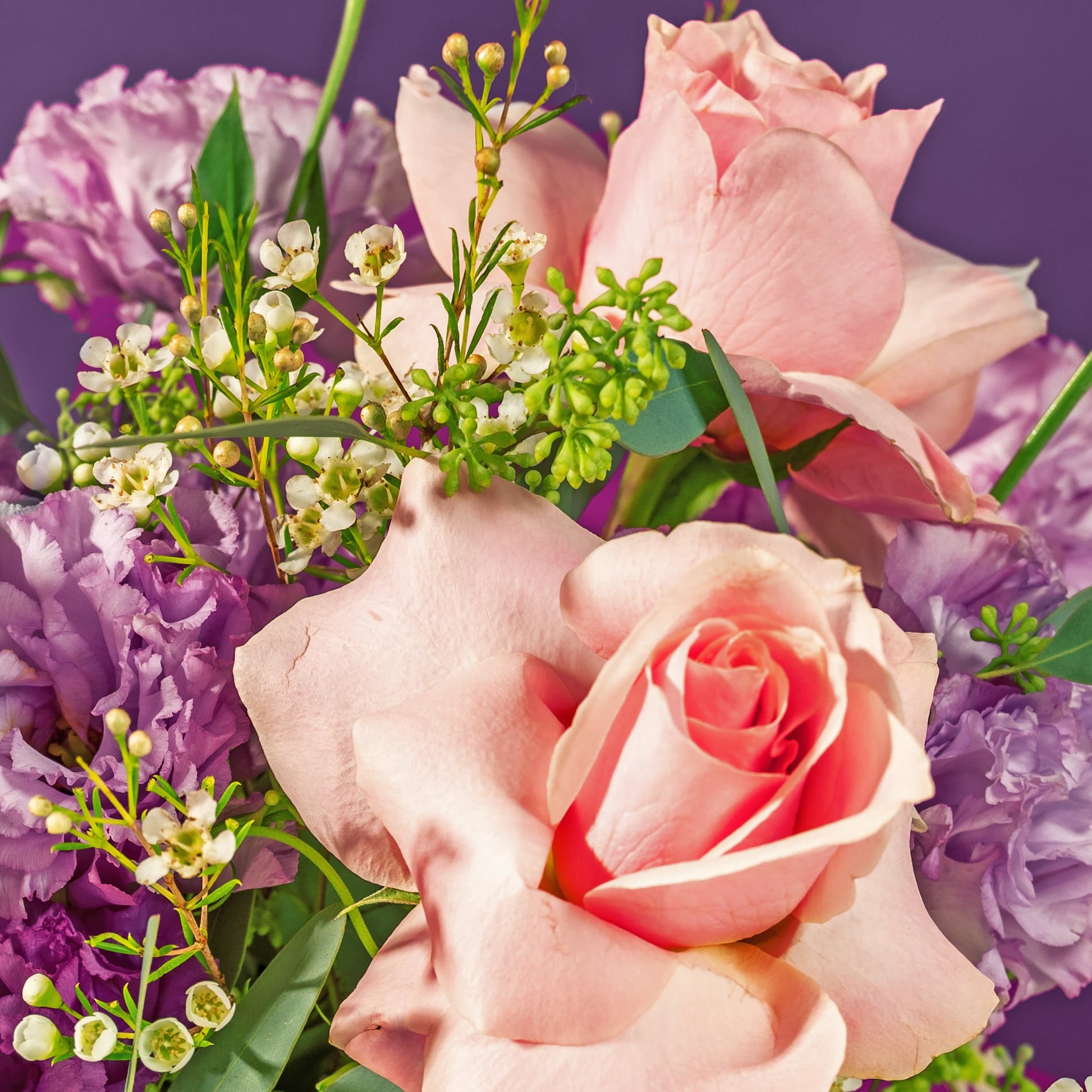 flowers_box_vbox Pretty Pink Roses