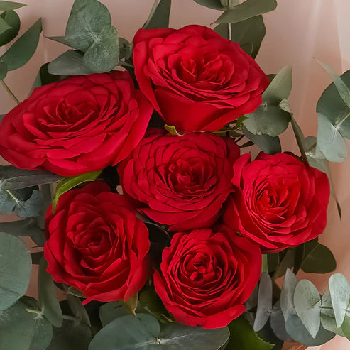 bundle_bouquet_cake Royal Red Delight Bundle