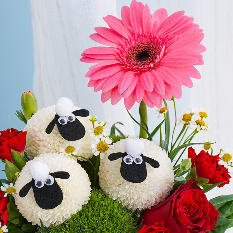 flowers_box_vbox Sheep Blossom