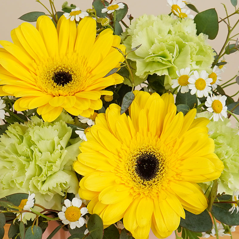 flowers_box_vbox Solara