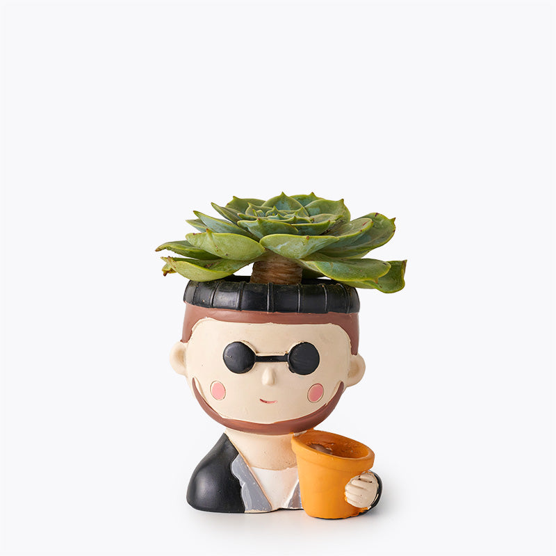 plants_potted Succulent Buddy