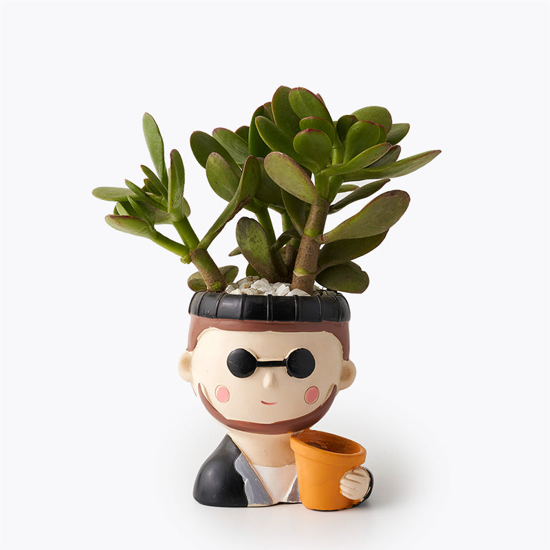 plants_potted Succulent Buddy