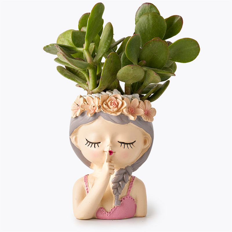 plants_potted Succulent Princess