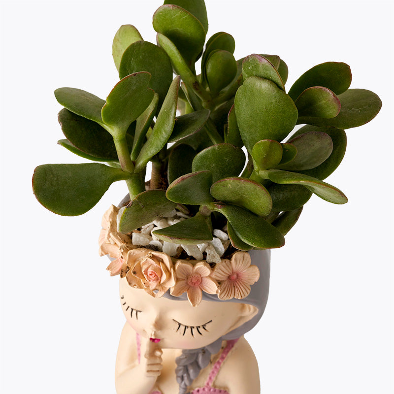 plants_potted Succulent Princess