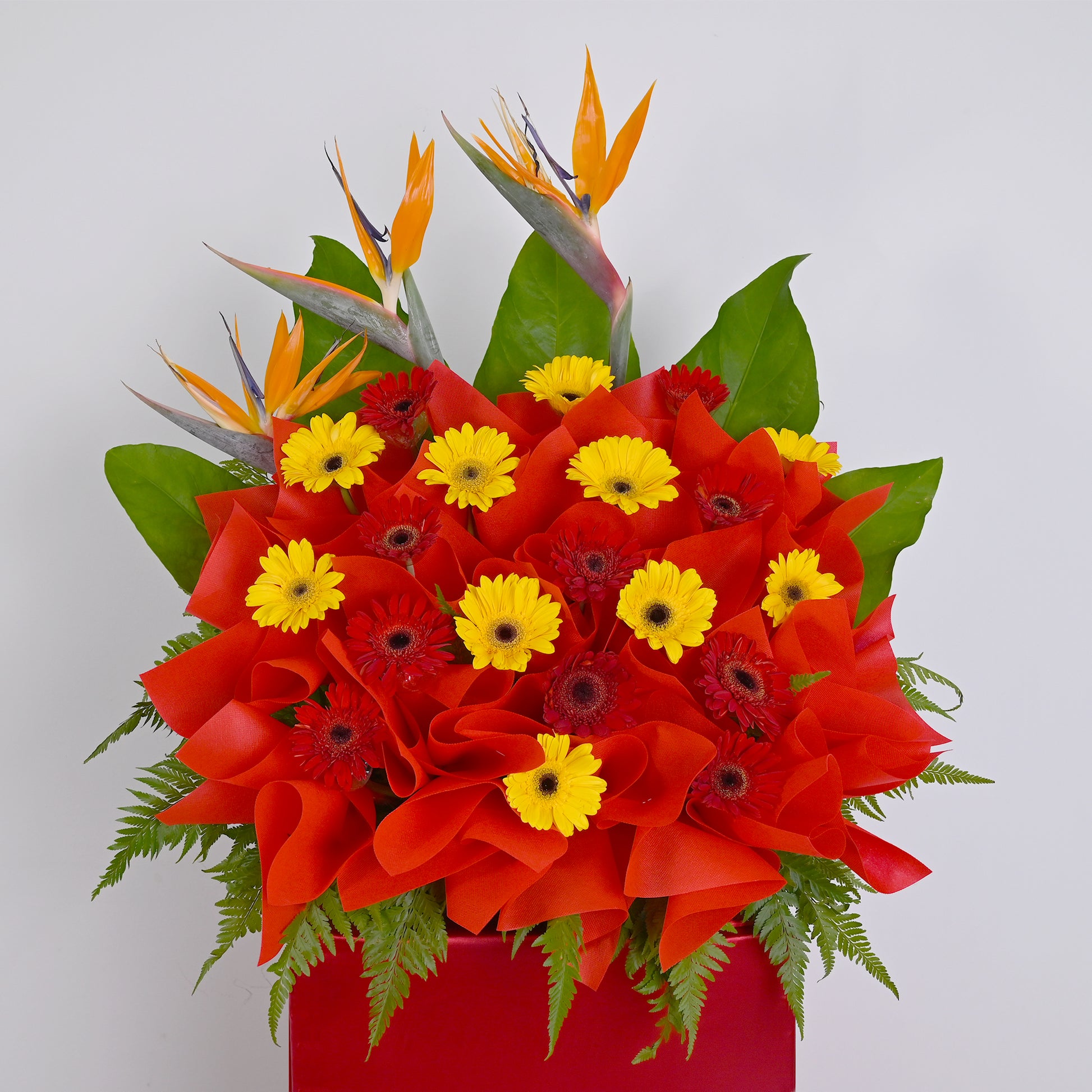 flower_stand_opening Winning Everyday Opening Flower Stand