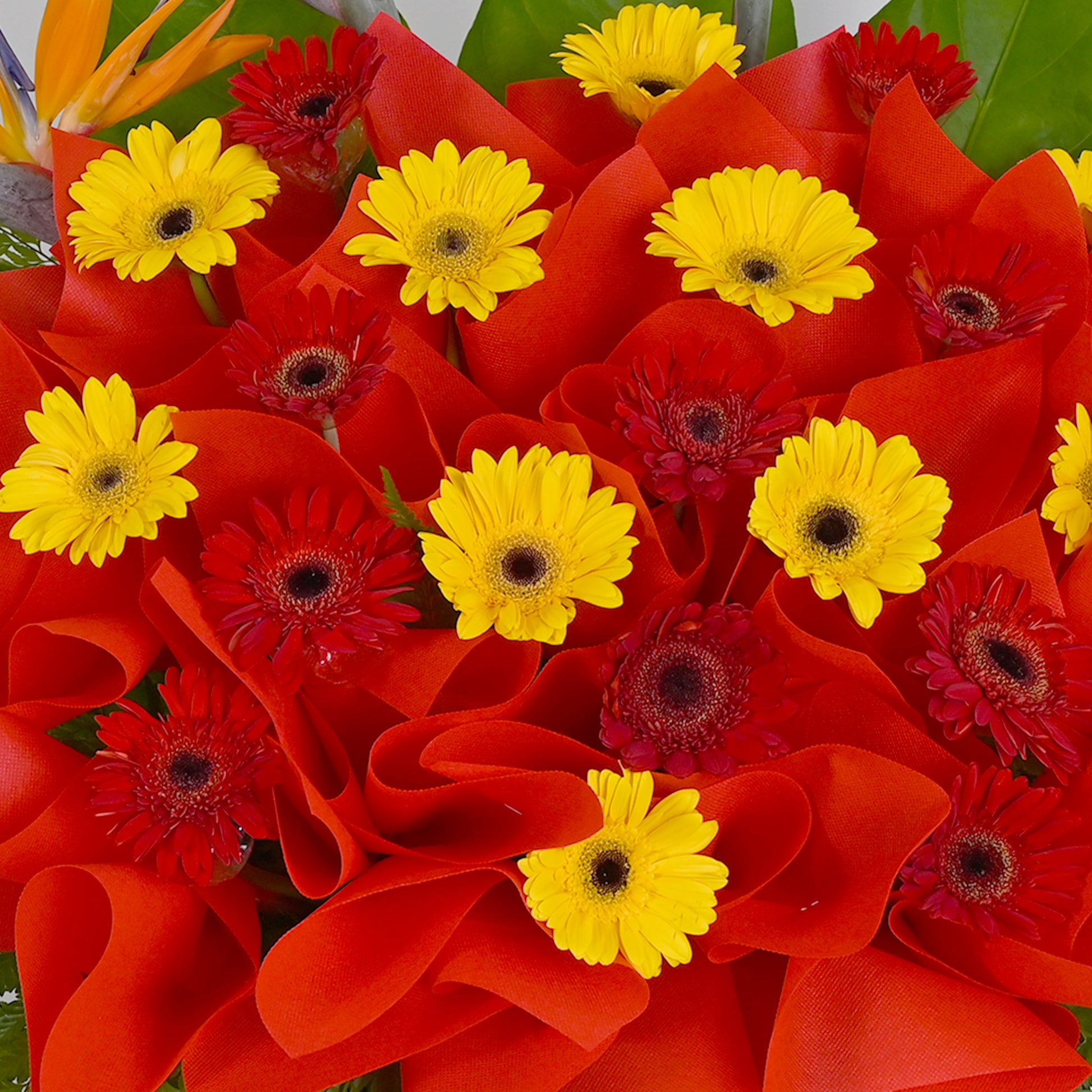 flower_stand_opening Winning Everyday Opening Flower Stand