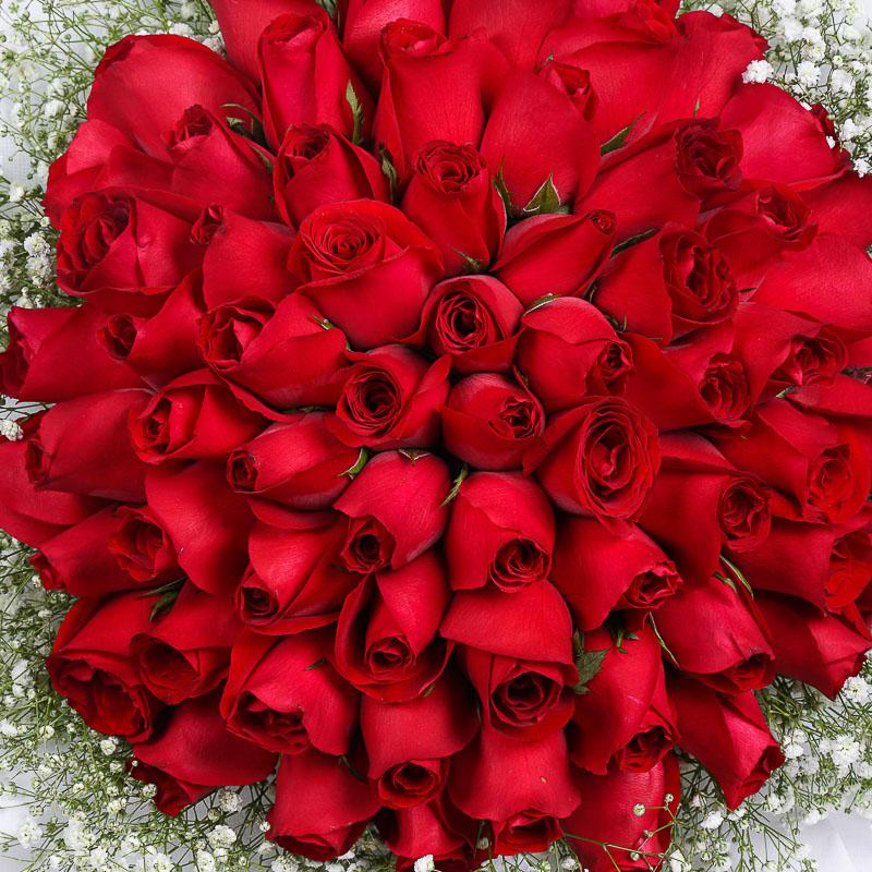 flowers_bouquet 66 Red Roses Bouquet