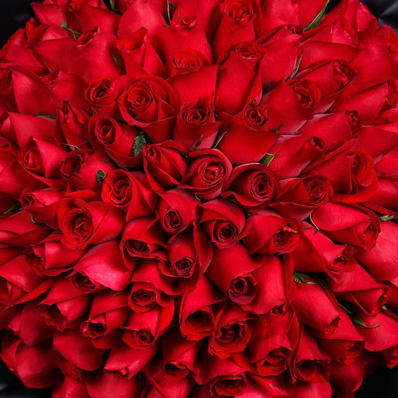 flowers_bouquet 99 Red Roses Midnight Edition