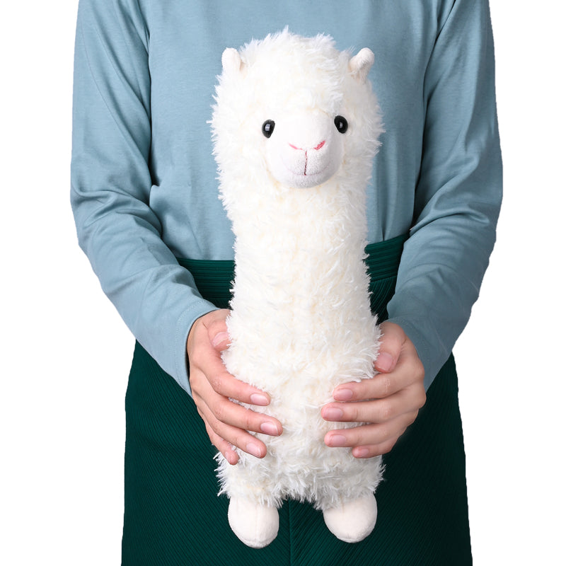 addon_teddy Alpaca