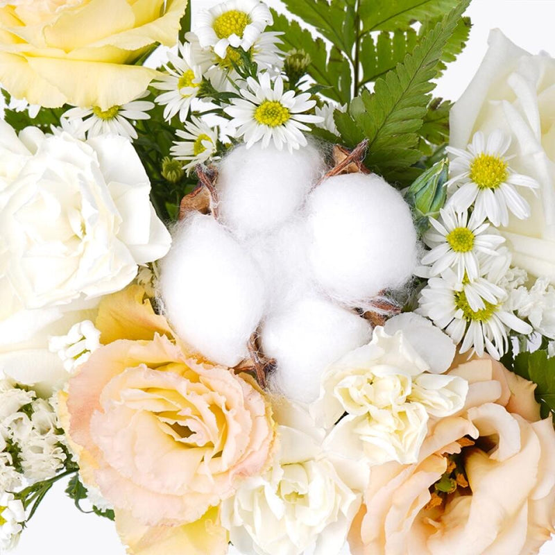 hamper_baby Baby Blooms